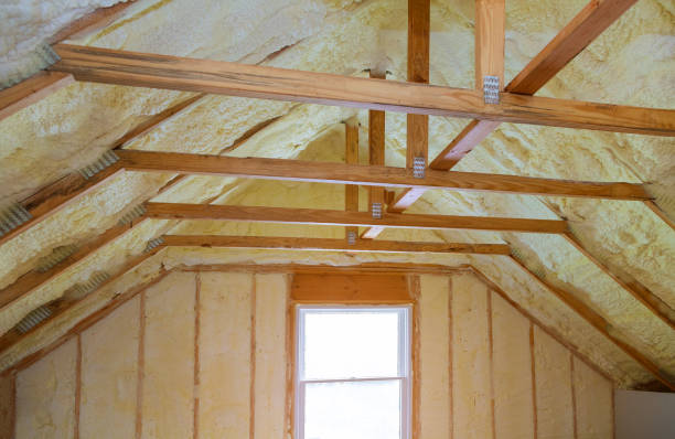 Best Professional Insulation Contractor  in Raubsville, PA