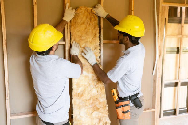 Best Insulation Repair Services  in Raubsville, PA